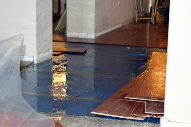Professional Sewage Cleanup technician working in New London, CT